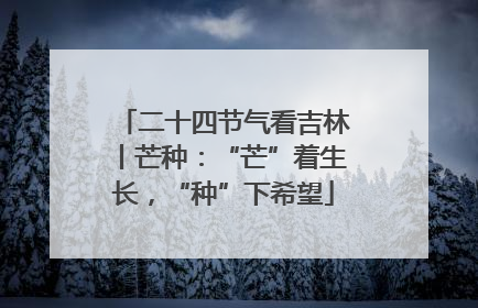 二十四节气看吉林丨芒种：“芒”着生长，“种”下希望