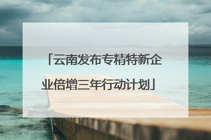 云南发布专精特新企业倍增三年行动计划