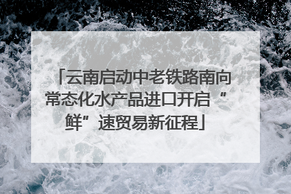 云南启动中老铁路南向常态化水产品进口开启“鲜”速贸易新征程