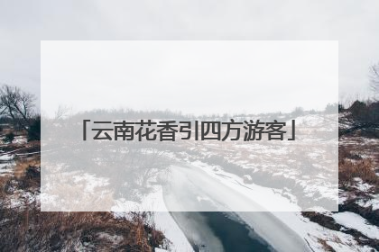 云南花香引四方游客