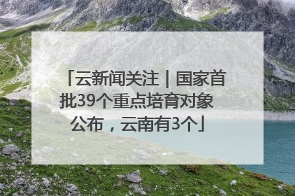 云新闻关注｜国家首批39个重点培育对象公布，云南有3个
