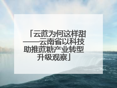 云蔗为何这样甜——云南省以科技助推蔗糖产业转型升级观察