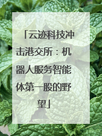 云迹科技冲击港交所：机器人服务智能体第一股的野望