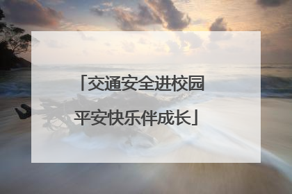 交通安全进校园 平安快乐伴成长