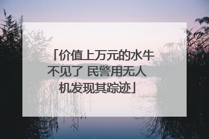 价值上万元的水牛不见了 民警用无人机发现其踪迹