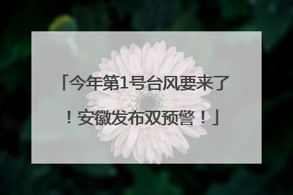 今年第1号台风要来了！安徽发布双预警！