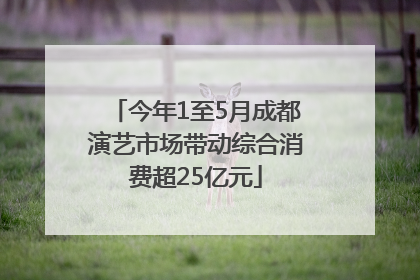今年1至5月成都演艺市场带动综合消费超25亿元