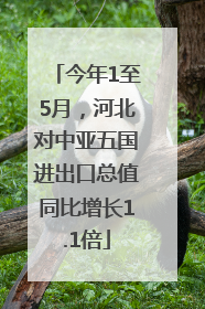 今年1至5月，河北对中亚五国进出口总值同比增长1.1倍