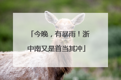 今晚，有暴雨！浙中南又是首当其冲