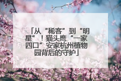 从“稀客”到“明星”！猫头鹰“一家四口”安家杭州植物园背后的守护