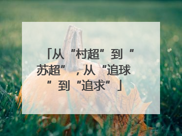 从“村超”到“苏超”，从“追球”到“追求”