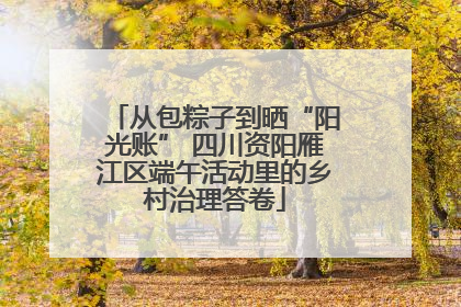 从包粽子到晒“阳光账” 四川资阳雁江区端午活动里的乡村治理答卷