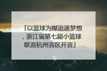 以篮球为媒追逐梦想，浙江省第七届小篮球联赛杭州赛区开赛
