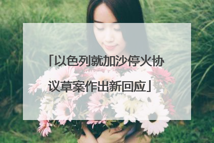以色列就加沙停火协议草案作出新回应