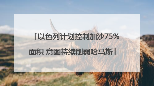 以色列计划控制加沙75%面积 意图持续削弱哈马斯
