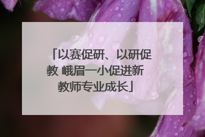以赛促研、以研促教 峨眉一小促进新教师专业成长
