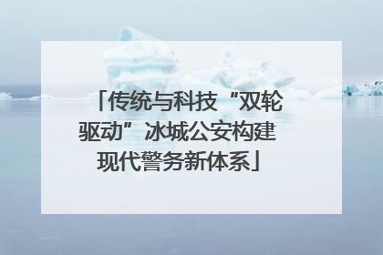 传统与科技“双轮驱动”冰城公安构建现代警务新体系