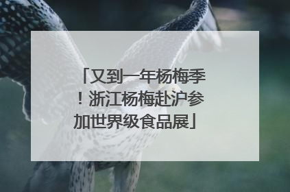 又到一年杨梅季！浙江杨梅赴沪参加世界级食品展