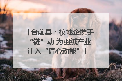 台前县：校地企携手“链”动 为羽绒产业注入“匠心动能”
