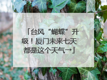 台风“蝴蝶”升级！厦门未来七天都是这个天气→