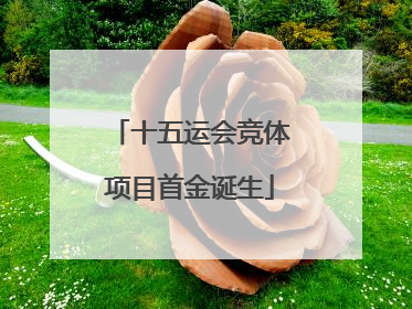 十五运会竞体项目首金诞生
