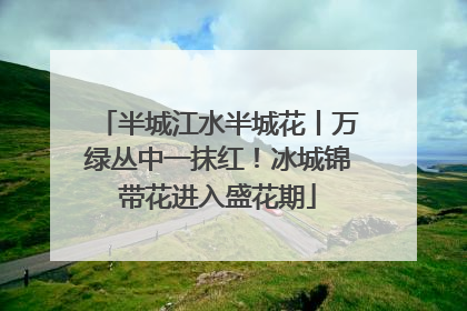 半城江水半城花丨万绿丛中一抹红！冰城锦带花进入盛花期