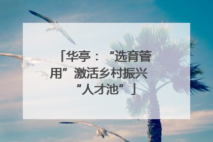 华亭：“选育管用”激活乡村振兴“人才池”