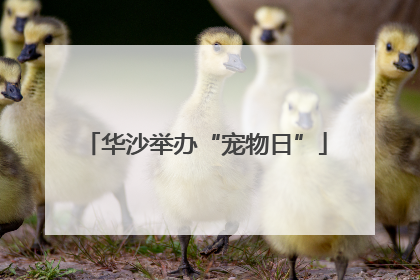 华沙举办“宠物日”