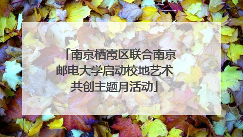 南京栖霞区联合南京邮电大学启动校地艺术共创主题月活动