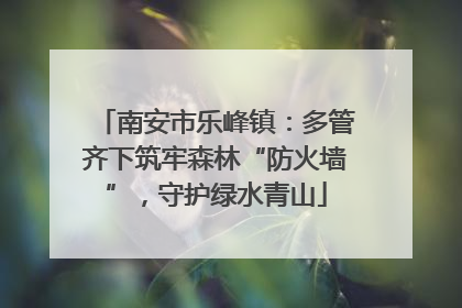 南安市乐峰镇：多管齐下筑牢森林“防火墙”，守护绿水青山