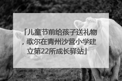 儿童节前给孩子送礼物，歌尔在青州沙营小学建立第22所成长驿站