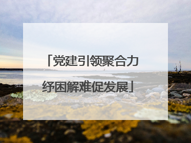 党建引领聚合力 纾困解难促发展
