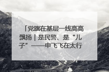 党旗在基层一线高高飘扬｜是民警、是“儿子”——申飞飞在太行山中的一线坚守