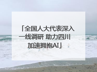全国人大代表深入一线调研 助力四川加速拥抱AI