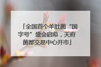 全国首个羊肚菌“国字号”盛会启幕，天府菌都交易中心开市