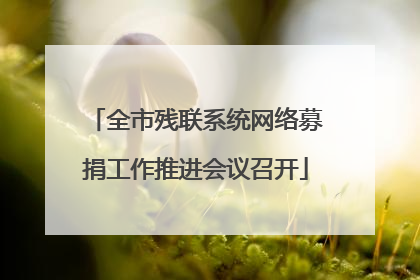 全市残联系统网络募捐工作推进会议召开
