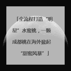 全流程打造“明星”水蜜桃，一颗成都桃在海外掀起“甜蜜风暴”