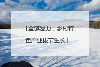 全链发力，乡村特色产业拔节生长