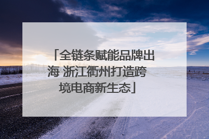 全链条赋能品牌出海 浙江衢州打造跨境电商新生态