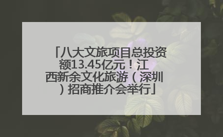 八大文旅项目总投资额13.45亿元！江西新余文化旅游（深圳）招商推介会举行