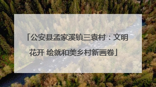 公安县孟家溪镇三袁村：文明花开 绘就和美乡村新画卷
