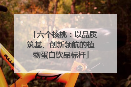 六个核桃：以品质筑基、创新领航的植物蛋白饮品标杆