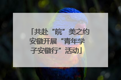 共赴“皖”美之约 安徽开展“青年学子安徽行”活动
