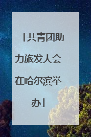 共青团助力旅发大会在哈尔滨举办