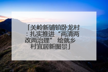 关岭新铺镇卧龙村：扎实推进“两清两改两治理” 绘就乡村宜居新图景