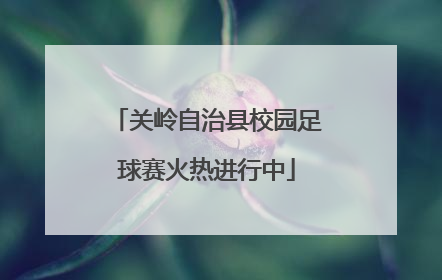 关岭自治县校园足球赛火热进行中