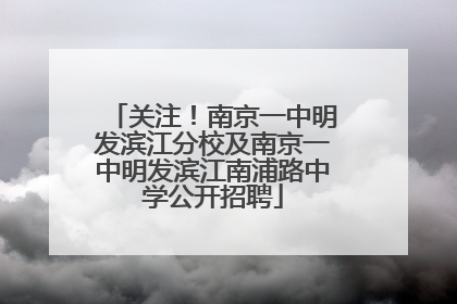 关注！南京一中明发滨江分校及南京一中明发滨江南浦路中学公开招聘