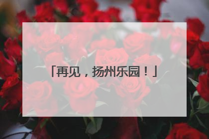 再见，扬州乐园！