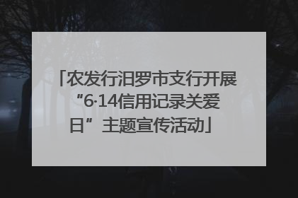 农发行汨罗市支行开展“6·14信用记录关爱日”主题宣传活动