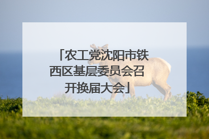 农工党沈阳市铁西区基层委员会召开换届大会